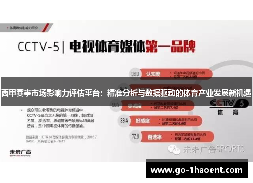 西甲赛事市场影响力评估平台：精准分析与数据驱动的体育产业发展新机遇
