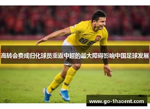 高转会费成归化球员重返中超的最大障碍影响中国足球发展